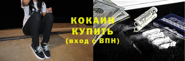 крисы Бородино