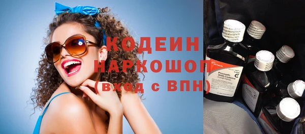 крисы Бронницы